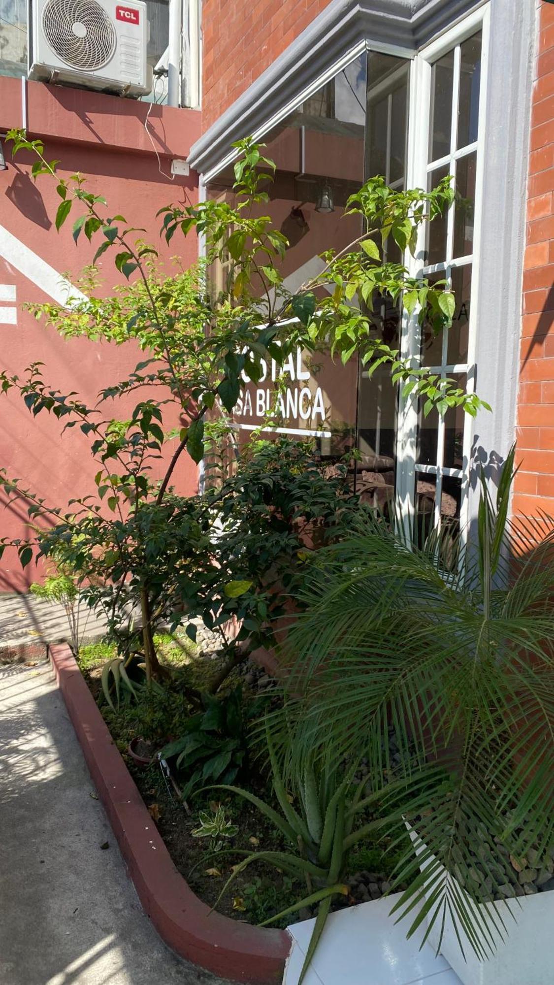 Hostal Casa Blanca Puerto Francisco de Orellana Exteriér fotografie